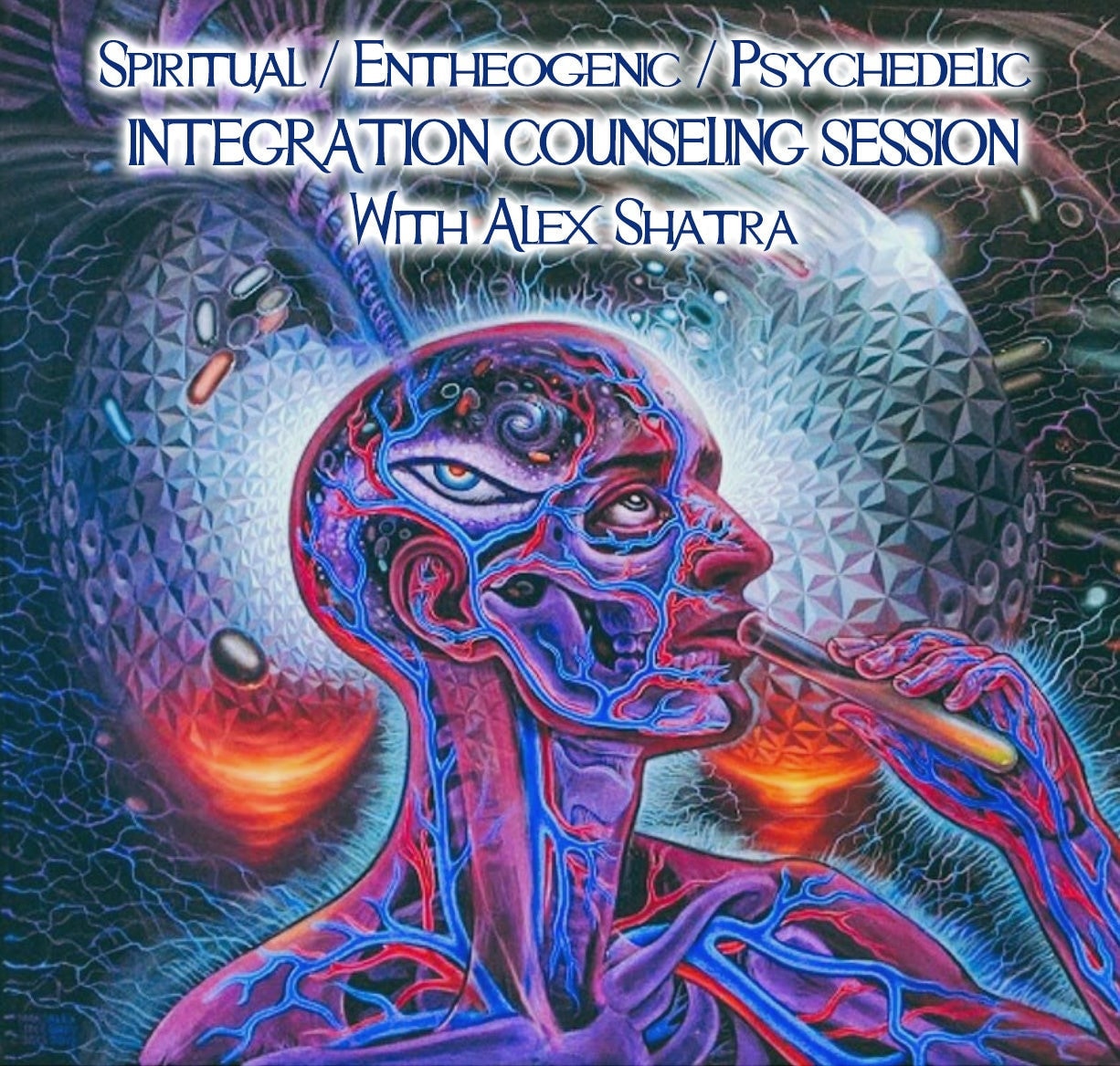 Coaching / Counseling Session (With an Experienced Healer) - Integration of Psychedelic Experience with Master Plants or other Psychedelics