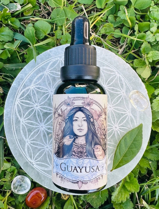 Guayusa