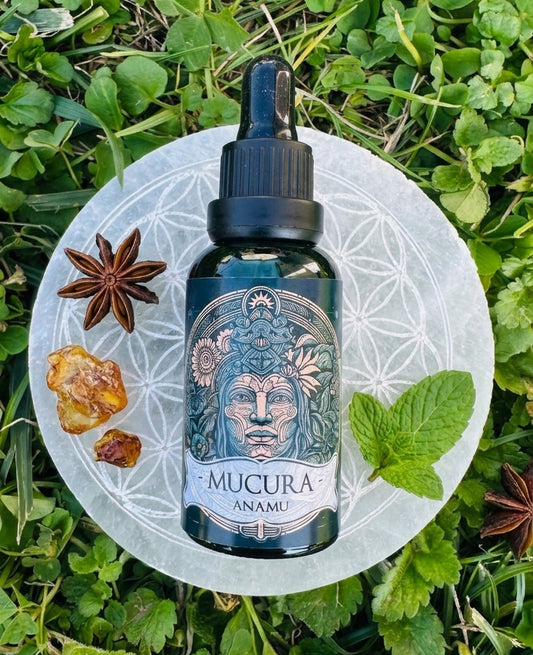 Mucura