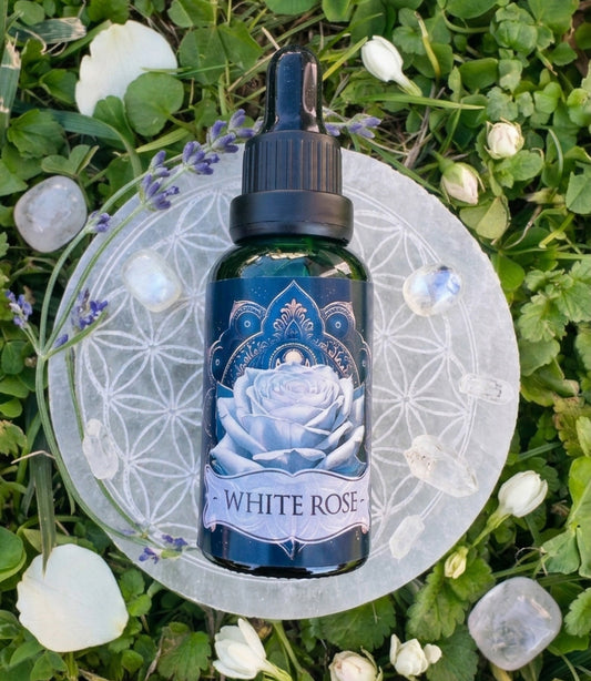 White Rose