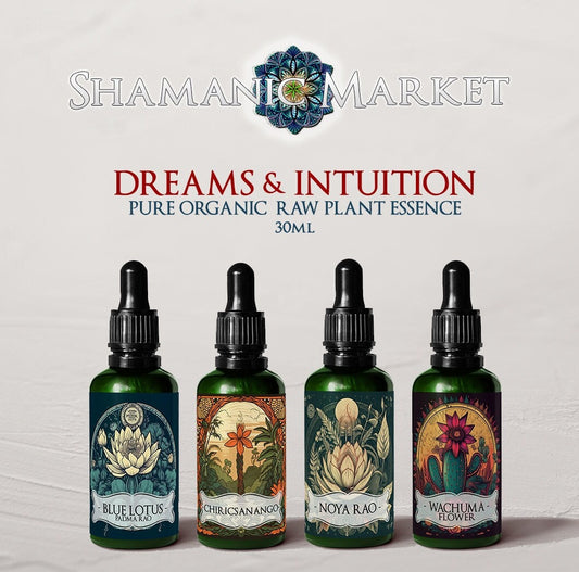 DREAMS & INTUITION BUNDLE KIT | Noya Rao | Chiricsanango | Blue Lotus | Wachuma Flower | Raw Organic Plant Extract | Microdose | Amazon Forest | 30ml
